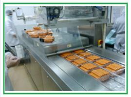 Features of Automatic Continuous Vacuum Packing Machine